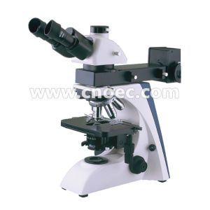 Learning Infinity Plan Microscope Trinocular Compound Microscopes Rohs A13.2604