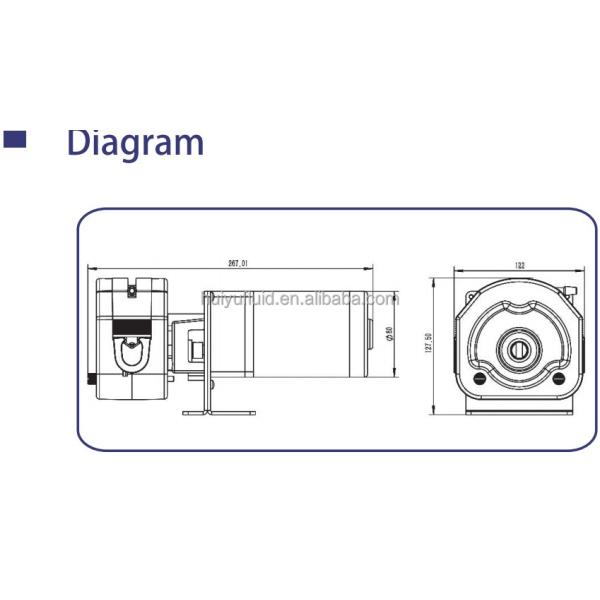 Large Flow Peristaltic Pump Dc Motor Oem Peristaltic Pump