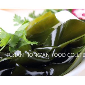 High Nutritional Umami Green Kelp Sprouts , Kelp Vegetable HACCP Approved