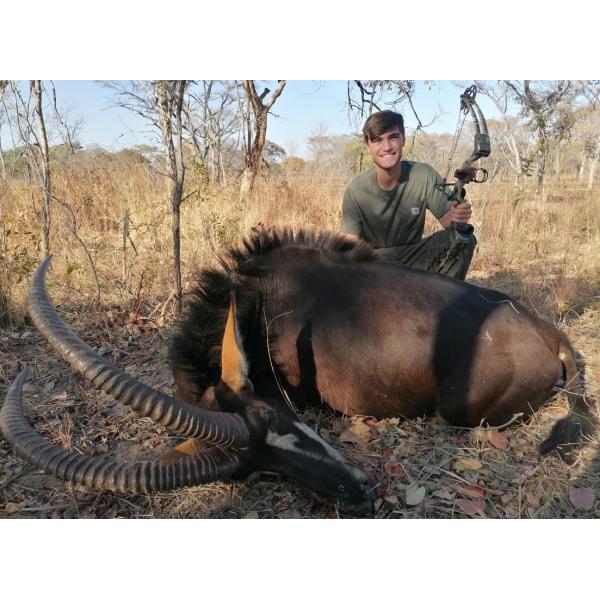 Id .165"/.204"/.246" /Id .165"/.315" target,3d/indoor Arrows 100% Pure Carbon Hunting Carbon Arrows