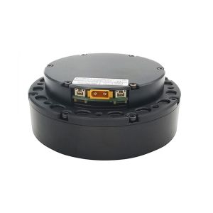 Customized RoHs Brushless Electric Motor With Driver And Encoder