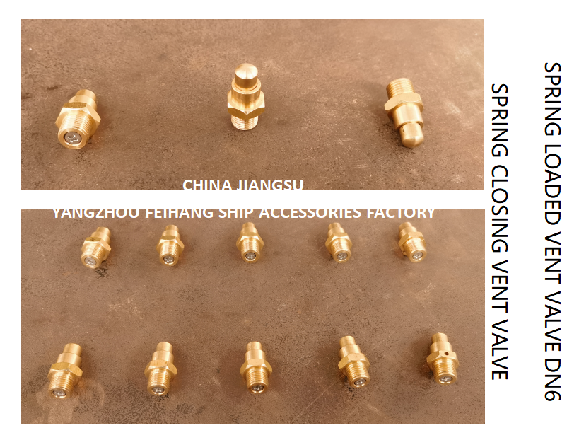 DN6 Threaded Spring Loaded Vent Valve with CB/T3778-1999 Standard for Marine