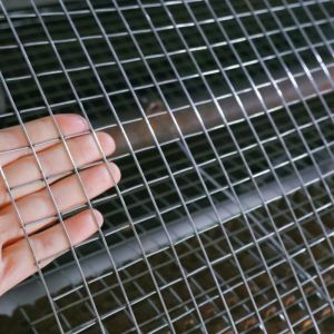 1/2"X1/2" Galvanized Welded Wire Mesh Rolls For Garden Fence