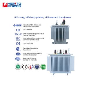 Variable Distribution Voltage Oil Immersed Transformer Step Down Mv&Hv Isolation