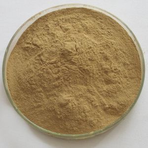 5:1, 10:1 Fine light yellow powder pumpkin seed extract --Cucurbita moschata
