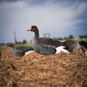 Anti Reflective Goose Hunting Decoy PP Goose Silhouette Decoys Customized