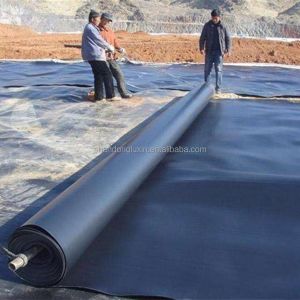 ASTM GRI-GM13 Prefabricated HDPE Geomembrane Fish Pond Liner 1mm for Artificial