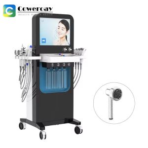 Wholesale 13 In 1 Facial Cleaning Equipment Hydro Microdermation Massager Machine from china suppliers