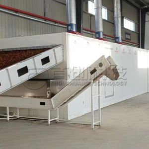 Dried Continuous Belt Drying Cabinet Hazelnut Filbert Dryer Machine