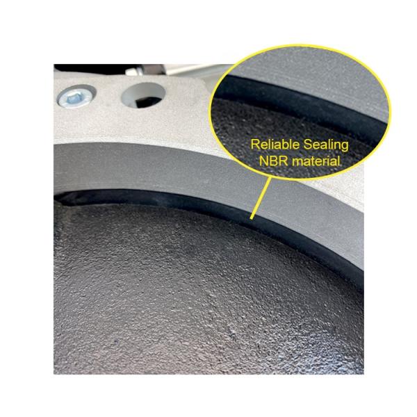 Low Temperature Environments DN300 Powder Butterfly Valves with Pneumatic Actuator