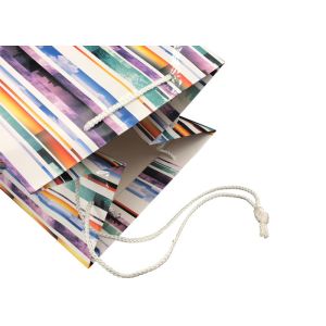 Elegant Foldable Printed Promotional Paper Bags Customized Logo Printing