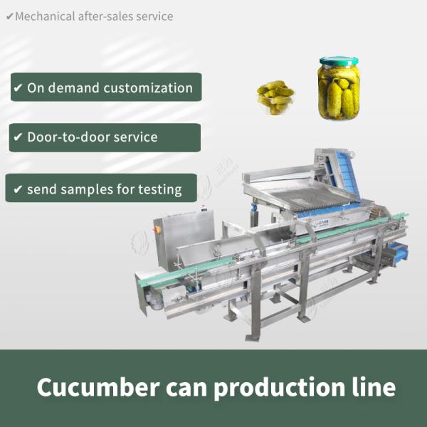 High Efficiency Canned Vegetable Production Line For Cucumber
