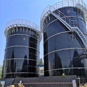 Anaerobic Reactor Biogas Plant With Reasonable Design And Construction