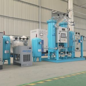 230V Low Voltage PSA Medical Oxygen Generator Module Design Stainless Steel