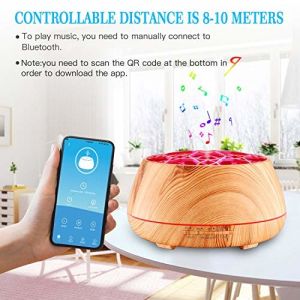 24V Bluetooth Aroma Diffuser With Anion Emitting Function