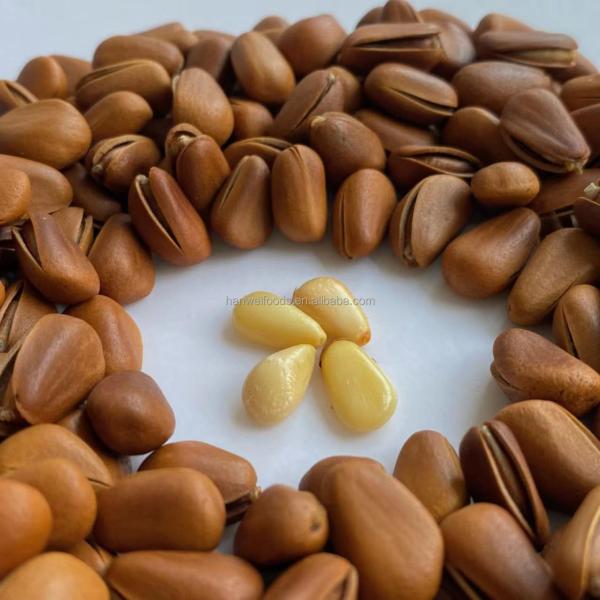 Semi Soft Healthy Snack Mix OU KOSHER Nutritious Organic Pine Nuts