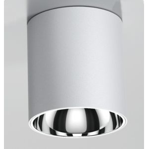 50 watts IP65 waterproof LED surface mounted downlight meanwell driver