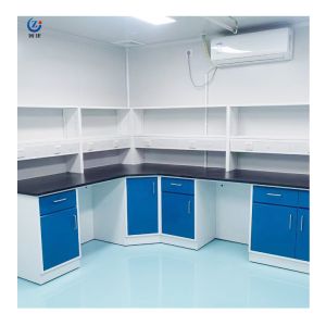 Educational Institutions Modern Laboratory Wall Bench With Wall-mounted