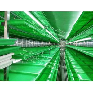 Container Type Wheat Seed and Barley Grass Sprouting Machine for Manufacturing