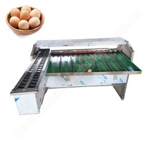 Egg Grader Sorter Egg Weighing Grading Machine Chicken Duck Egg Grading Sorting