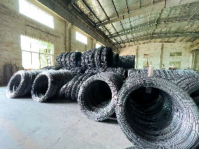 Torsion Load Roller Door Spring with Customized Inside Diameter and Wire Diameter