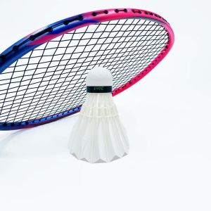 Dmantis D7 Model Wholesale Supply Training Equipment Badminton Racket China