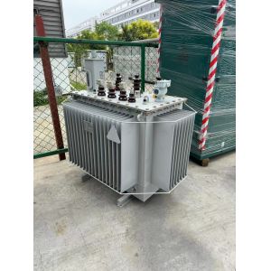 11kv/800kVA Three Phase Oil Immersed Power Transformer