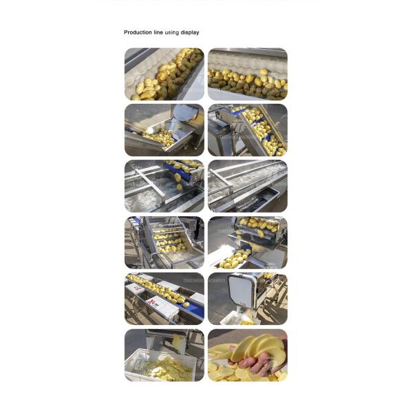 Vegetable Hair Roller Bubble Washing Selection Cutting Machine Production Line