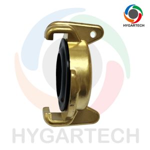 Wholesale Brass Claw-Lock Hose Coupling Quick Hose Connect from china suppliers