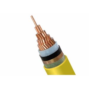 Single Core XLPE Insulated Power Cable Middile Voltage Unarmoured Power Cable