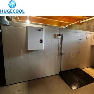 Meat Storage Freezer Cold Room with 100mm Panel Thickness and After-sales