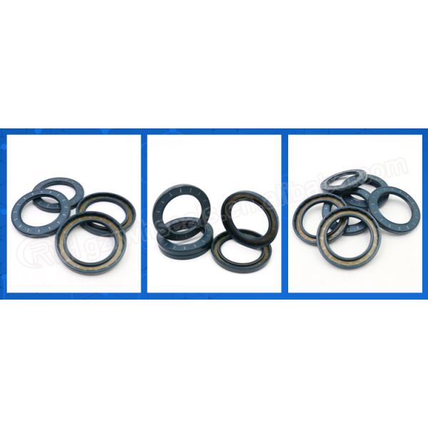 Double Lip CFW Oil Seal FKM Material High Temperature Resistance
