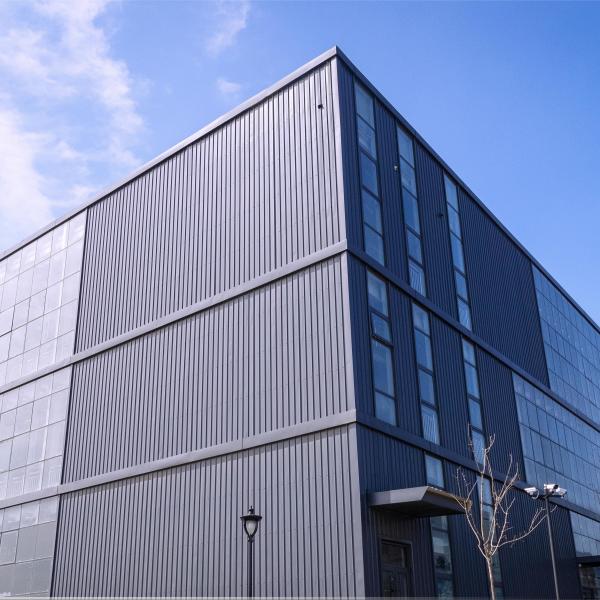 Quality Q355 Steel Structure Warehouse Prefabricated H-Section Building for sale