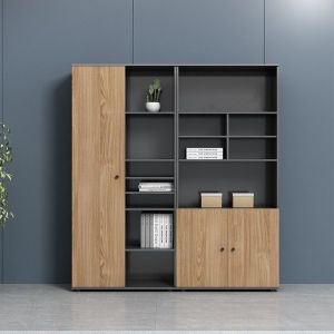 Wall Bookcase Display Cabinet for Office Storage and Space Optimization Solution