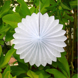 Paper folding fan wedding party decoration background paper fan flower color by