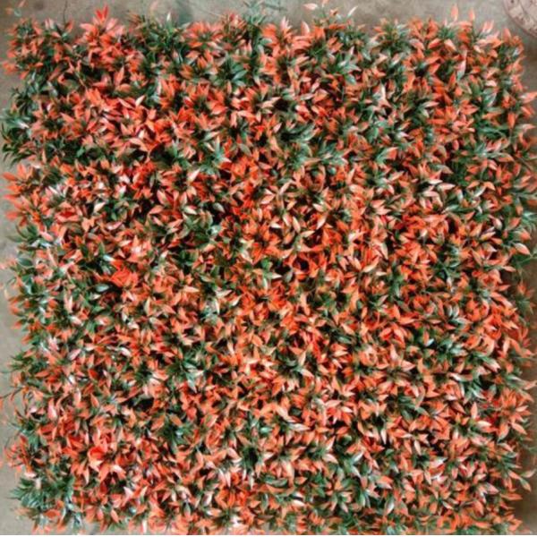 Environmentally Friendly Artificial Wall Grass Easy To Install And Maintain With