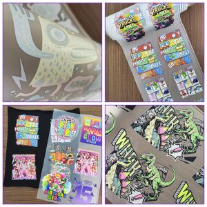 Full-Automatic DTF Printer with 60cm Print Width and Epson i3200 Print Head for