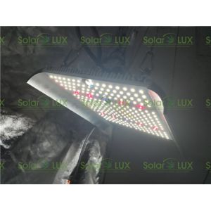 China Full Spectrum V2 240Watt G2 Quantum Board LED Grow Lights on sale