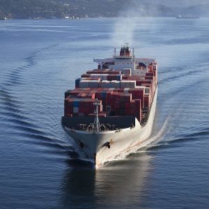 All Lines China Shipping Forwarder Agent Shipping China In 20-40 Days