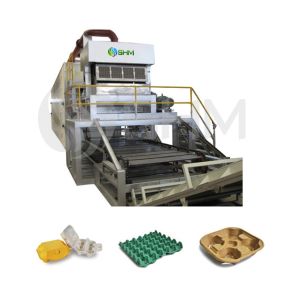 Best Egg Box Making Machine Forming Egg Tray Equipment