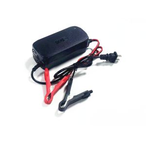 Universal Lithium Ion Battery Charger for Electric Wheelchair Scooter Dirt E