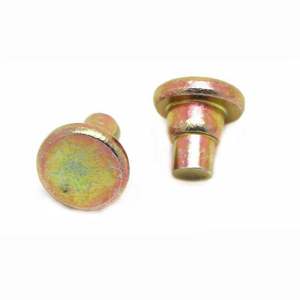 Factory Wholesale Custom 304 Stainless Steel Eccentric Door And Window Rivets Quick Eccentric Hinge Adjustment Rivets.