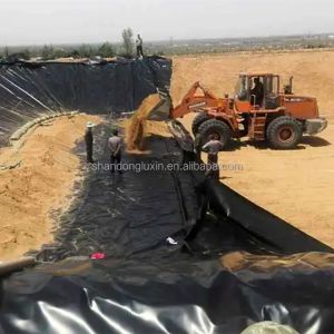 1m-8m Width HDPE Waterproof Geomembrane for Aquaculture Fish Farm Pond Liner
