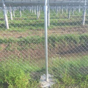 Galvanized Chain Link Fence Fabric Pvc Coated Frame