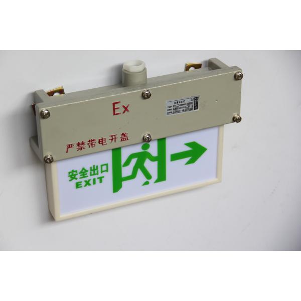 Customised Surface Pattern 3w 220VAC Explosion Proof Exit Light