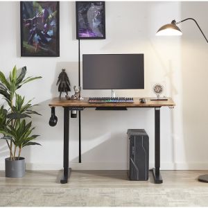 Modern Design Single Motor Electric Height Adjustable Wooden Desk for Student