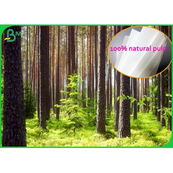 Fully Bio Compostable 70gsm Bleach Paper Roll For Takeaway packaging bags Fully Bio Compostable 70gsm Bleach Paper Roll For Takeaway Packaging Bags