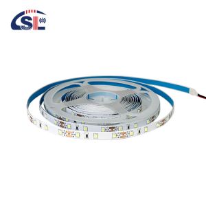 China 8mm10mm 60leds 3000K4000K6500K DC12V24V Warm White Natural White Die-Cutting Board SMD2835 Led Strip Light on sale