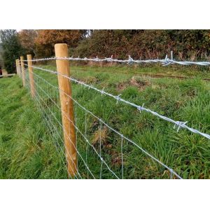 75mm-120mm Barb Spacing Barbed Wire Fence security farm fencing