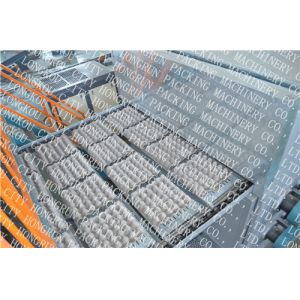 PLC Control Automatic Egg Carton Making Machine With Drying Function